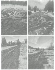 Mieszkańcy piszą petycję w sprawie utwardzenia drogi na osiedlu Piaski.