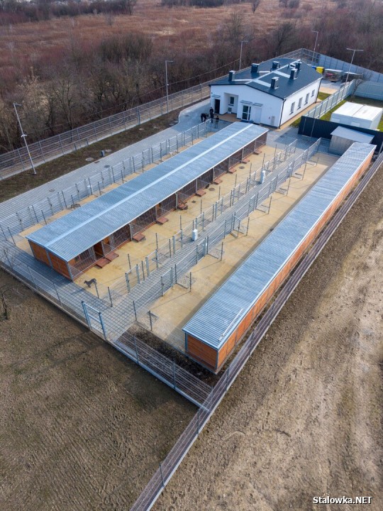 Uroczystość zbiegła się z jubileuszem 10-lecia działalności stowarzyszenia Psia Przystań, która już od dekady ratuje zwierzęta skazane na samotność, głód i strach. 