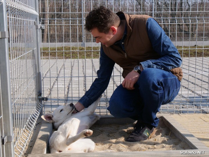 Uroczystość zbiegła się z jubileuszem 10-lecia działalności stowarzyszenia Psia Przystań, która już od dekady ratuje zwierzęta skazane na samotność, głód i strach. 