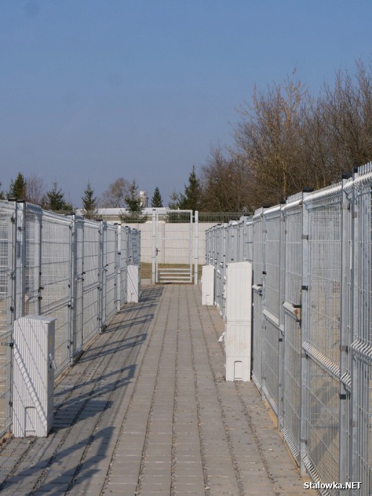 Uroczystość zbiegła się z jubileuszem 10-lecia działalności stowarzyszenia Psia Przystań, która już od dekady ratuje zwierzęta skazane na samotność, głód i strach. 