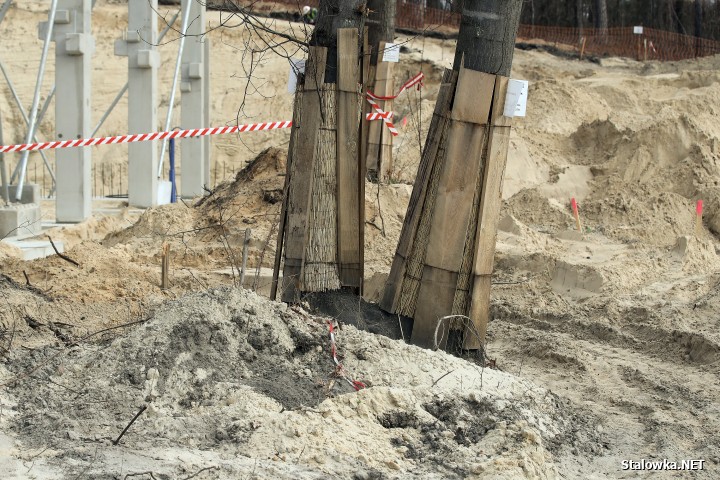 Plac budowy Centrum Sportów Młodzieżowych w Stalowej Woli.