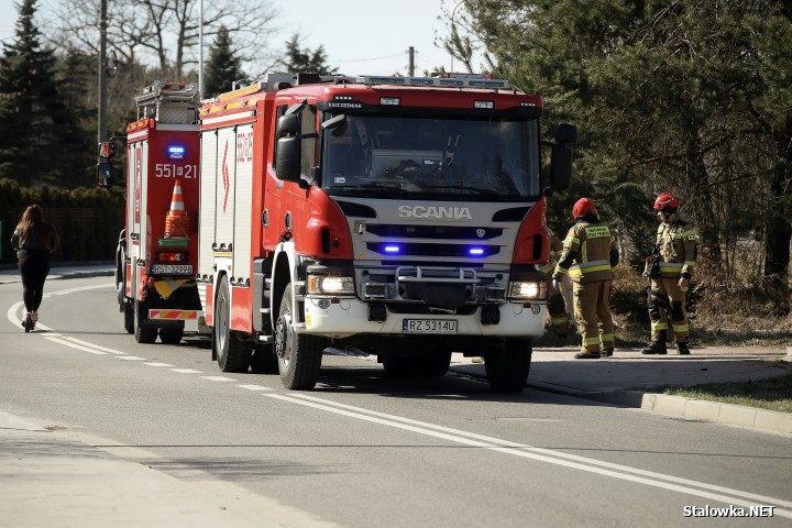 Pożar torowiska na towarowej stacji kolejowej w Stalowej Woli.