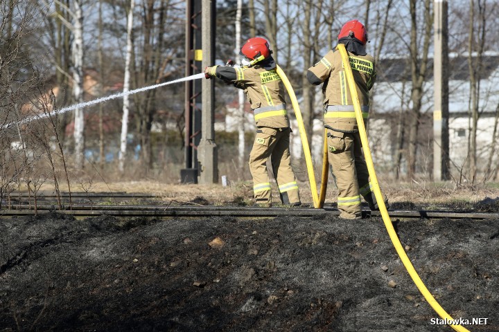 Pożar torowiska na towarowej stacji kolejowej w Stalowej Woli.