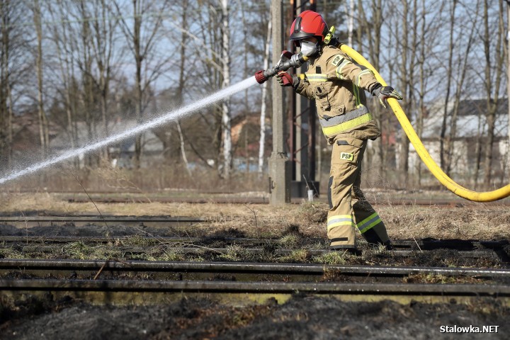 Pożar torowiska na towarowej stacji kolejowej w Stalowej Woli.