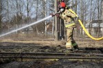 Pożar torowiska na towarowej stacji kolejowej w Stalowej Woli.