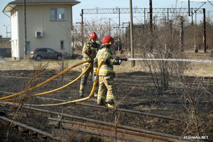 Pożar torowiska na towarowej stacji kolejowej w Stalowej Woli.