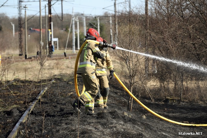 Pożar torowiska na towarowej stacji kolejowej w Stalowej Woli.