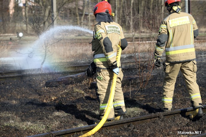 Pożar torowiska na towarowej stacji kolejowej w Stalowej Woli.