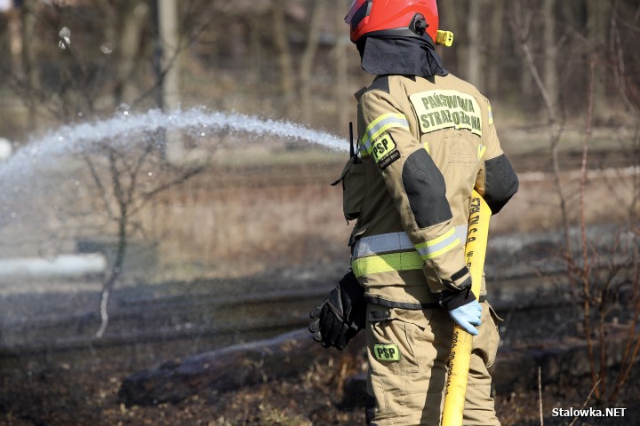 Pożar torowiska na towarowej stacji kolejowej w Stalowej Woli.