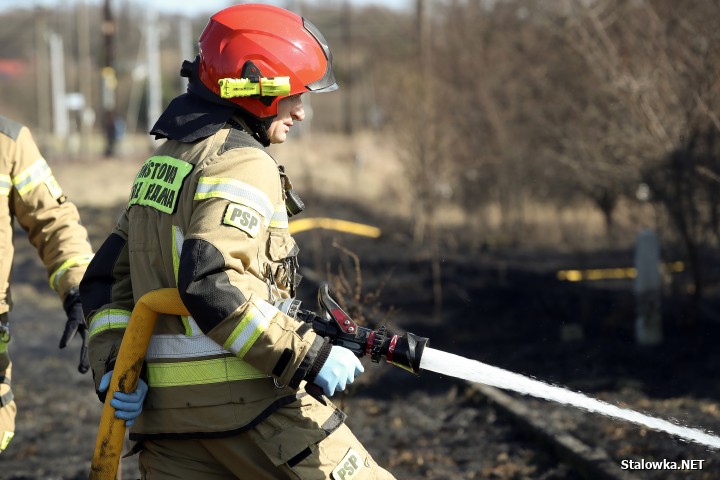 Pożar torowiska na towarowej stacji kolejowej w Stalowej Woli.