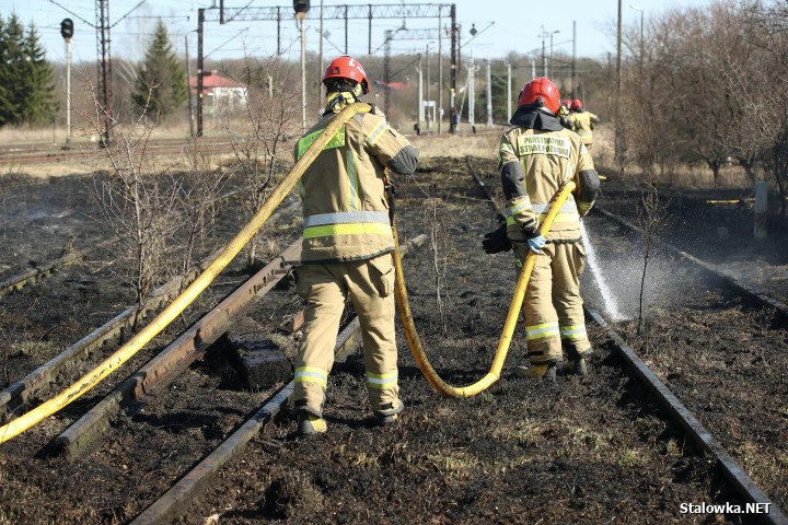 Pożar torowiska na towarowej stacji kolejowej w Stalowej Woli.