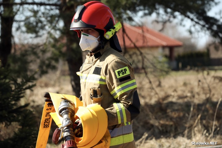 Pożar torowiska na towarowej stacji kolejowej w Stalowej Woli.