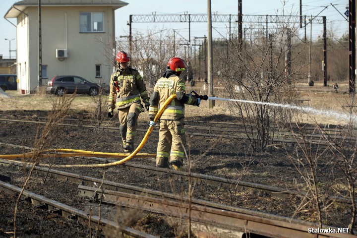 Pożar torowiska na towarowej stacji kolejowej w Stalowej Woli.