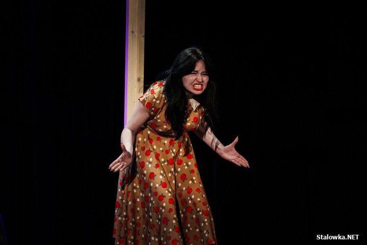 Zdarzenia Teatralne 2026 w Stalowej Woli.