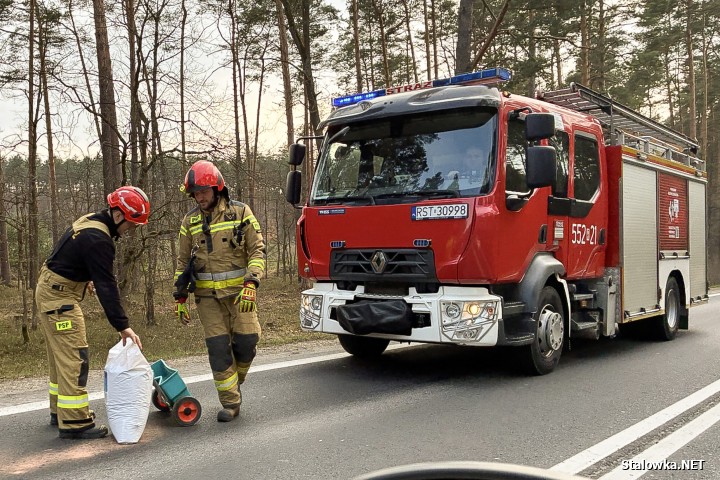 W zdarzeniu nikt nie ucierpiał. Policjanci potraktowali je jako kolizję. Kierowca wojskowej ciężarówki został pouczony.