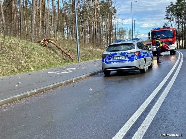 Powalone drzewo na drodze dojazdowej do obwodnicy.