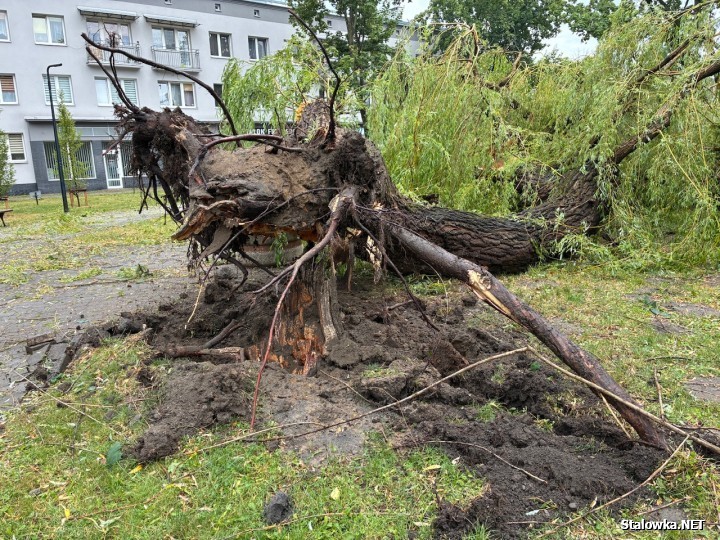 Pół miliona kary dla urzędnika za niedopełnienie obowiązków. W Stalowej Woli chcą temu zapobiec.