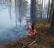 Dwaj mężczyźni podpalili las. Spłonęło 2,5 hektara.