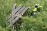 Na ul. Brandwickiej w Stalowej Woli doszło do groźnie wyglądającego wypadku drogowego.