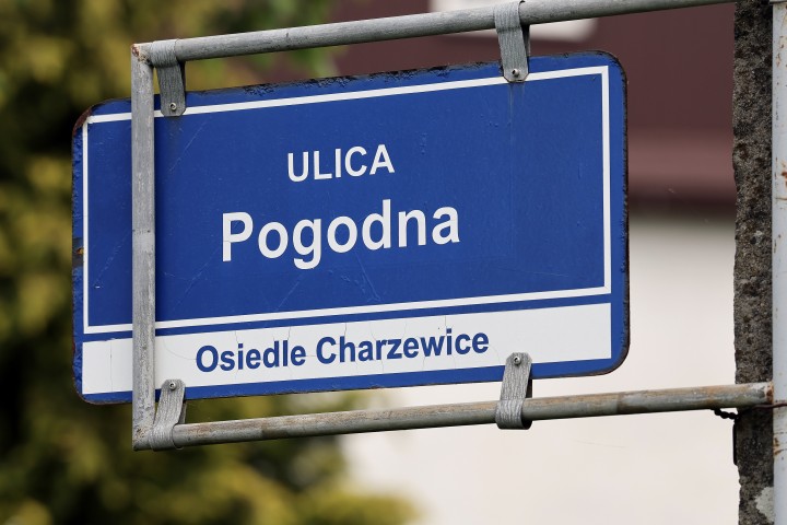 Na ul. Brandwickiej w Stalowej Woli doszło do groźnie wyglądającego wypadku drogowego.