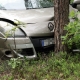 Stalowa Wola: DW-871: auto wjechało w drzewo. Poszkodowana trafiła do szpitala