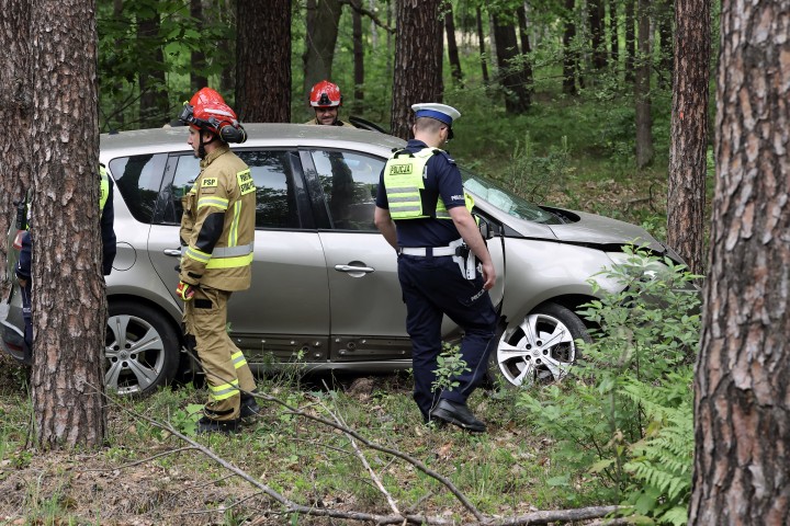 Auto wjechało w drzewo. Poszkodowana trafiła do szpitala.