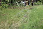 Auto wjechało w drzewo. Poszkodowana trafiła do szpitala.