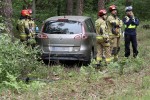 Auto wjechało w drzewo. Poszkodowana trafiła do szpitala.