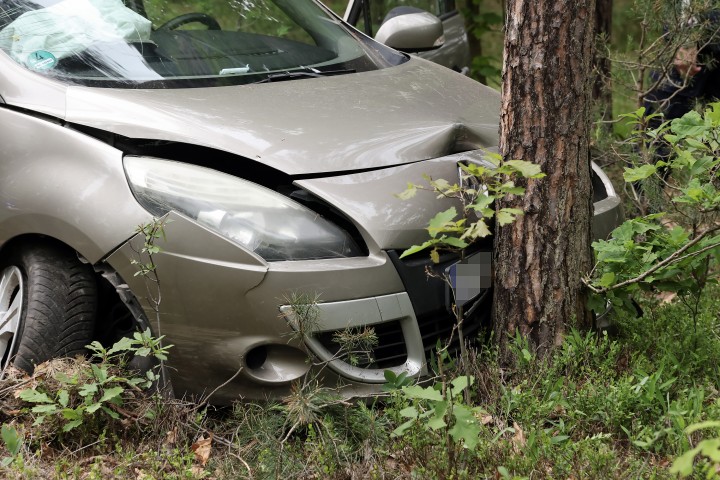 Auto wjechało w drzewo. Poszkodowana trafiła do szpitala.
