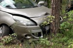 Auto wjechało w drzewo. Poszkodowana trafiła do szpitala.