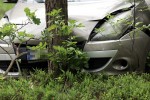 Auto wjechało w drzewo. Poszkodowana trafiła do szpitala.