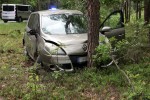 Auto wjechało w drzewo. Poszkodowana trafiła do szpitala.