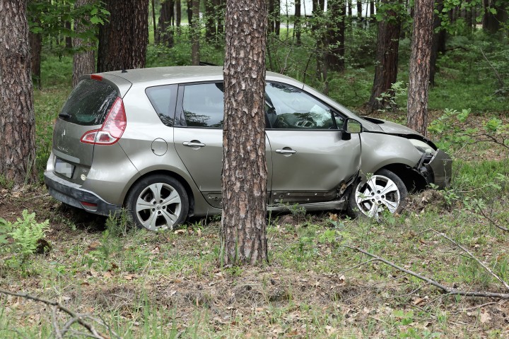 Auto wjechało w drzewo. Poszkodowana trafiła do szpitala.