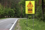Auto wjechało w drzewo. Poszkodowana trafiła do szpitala.