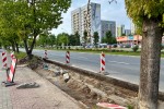 Na Alejach Jana Pawła II, na pasie od Rozwadowa w kierunku Niska, przed strażą pożarną prowadzone są prace budowlane. 