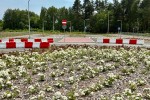 Rondo na ulicy Seulskiej w Stalowej Woli zostało wybudowane, aby połączyć się drogą wojewódzką z drogą ekspresową S-19.