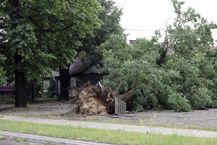 Nawałnica przeszła nad Stalową Wolą.