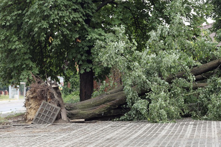 Nawałnica przeszła nad Stalową Wolą.
