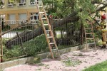 Czytelnicy nie zostawili suchej nitki na fatalnym stanie technicznym płotu.