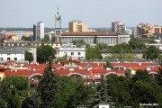 Uliczny bieg w Stalowej Woli. Uwaga na zamknięte ulice!
