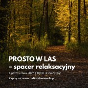 Prosto w las - spacer relaksacyjny.