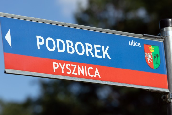 Ranny motocyklista z BMW trafił do szpitala. Do wypadku doszło w gminie Pysznica.