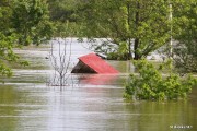 Na zalane tereny Centrum Wolontariatu wysyła, w zależności od potrzeb, średnio 2-3 osobowe ekipy ochotników.
