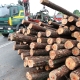 Stalowa Wola: Rozsypane drewno zablokowało drogę wojewódzką