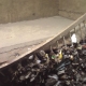 Stalowa Wola: Bezmyślni mieszkańcy wyrzucają śmieci do studzienek kanalizacyjnych