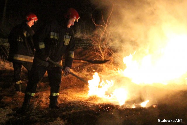 90 procent pożarów traw powstaje na skutek podpaleń.