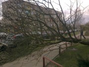 Jeden z naszych czytelników przysłał nam zdjęcie, na którym widać powalone na chodnik drzewo. Strażacy usunęli już szkodę, jaka powstała w wyniku podmuchów wiatru.