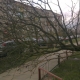 Stalowa Wola: Gwałtowny wiatr powala drzewa