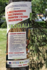 Nieopodal Urzędu Miasta, pinezkami, nieznany nikomu ekolog, przytwierdził do drzewa plakat informujący o eko szczytnej inicjatywie, która miała miejsce w miniony weekend.