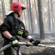 Stalowa Wola: Liczne pożary stalowowolskich lasów. Ogłoszono III stopień zagrożenia
